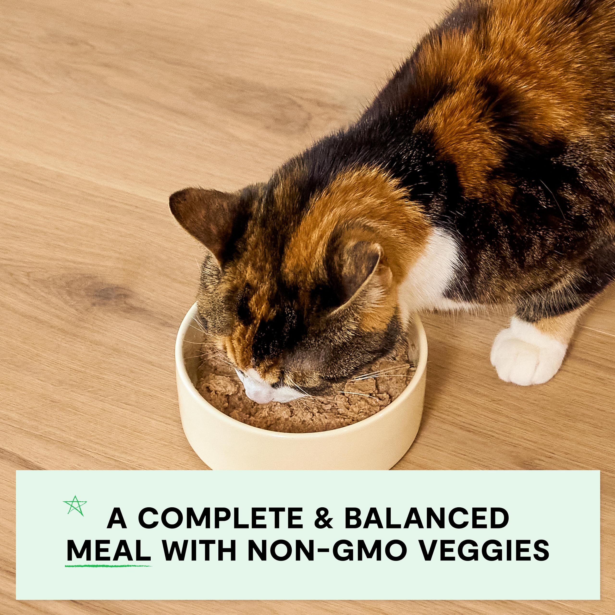 Open Farm packaging emphasizes no artificial flavors, colors, or preservatives