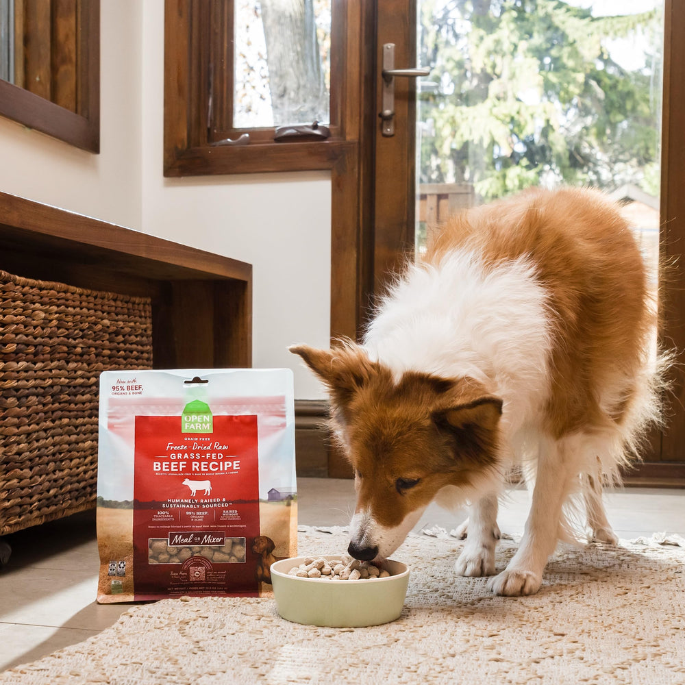 Open Farm no artificial preservatives in a freeze-dried dog food formula.