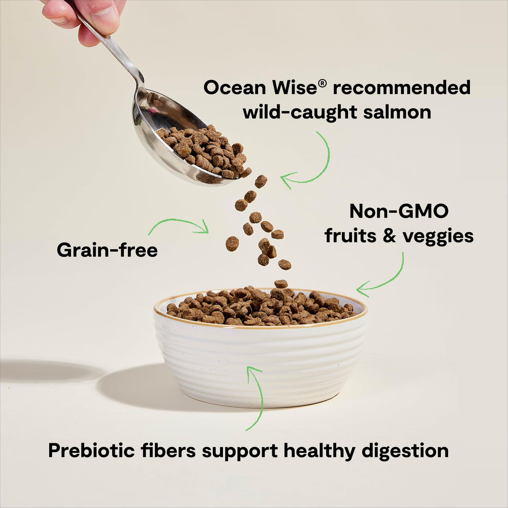 Open Farm non-GMO fruits and vegetables featured in cat kibble