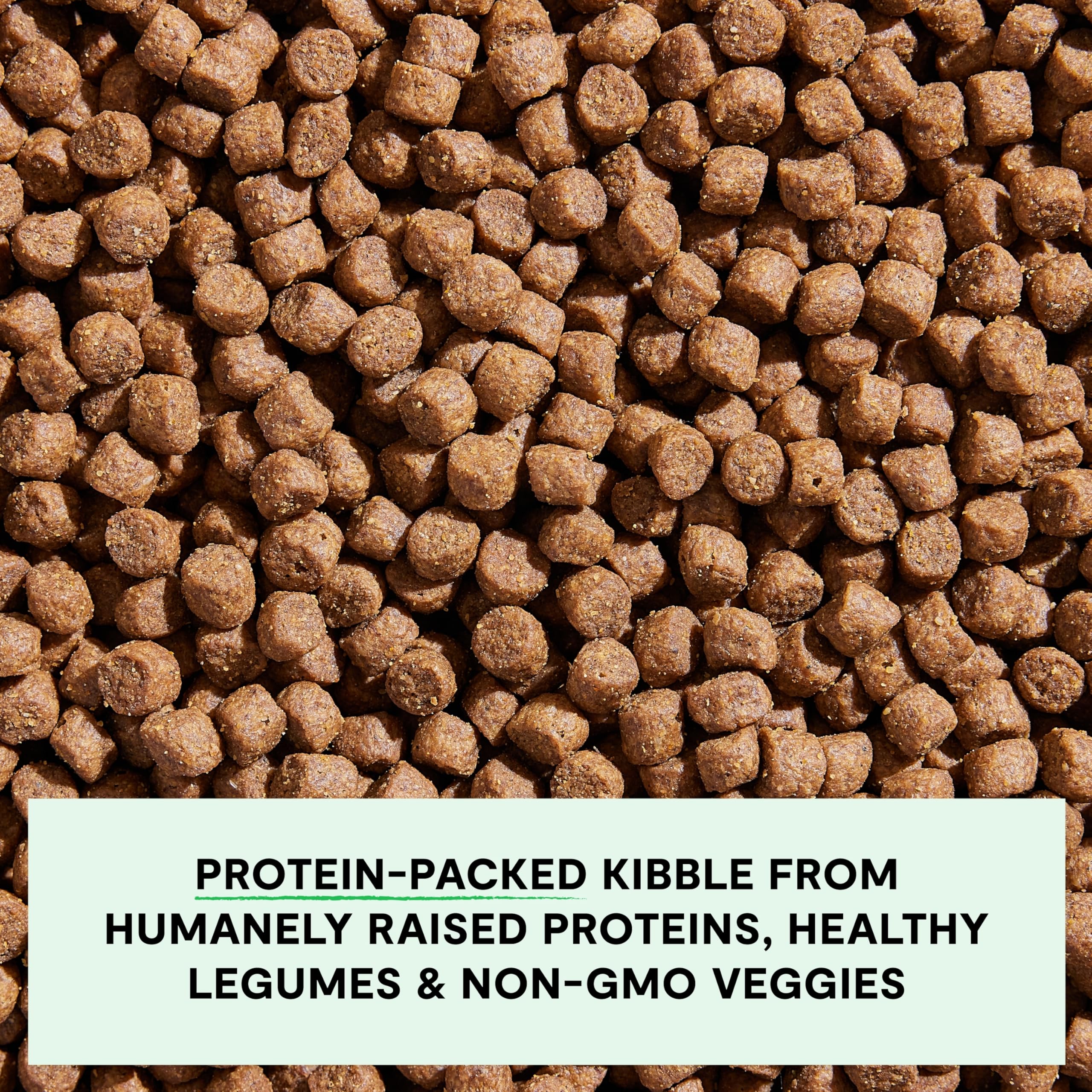 Open Farm non-GMO veggies and superfoods in a dog food bowl.