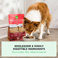 Open Farm non-GMO fruits and veggies in bowl, natural nutrition blend.