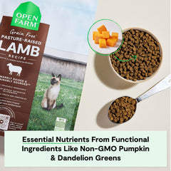Open Farm non-GMO pumpkin and dandelion greens as natural nutrients.