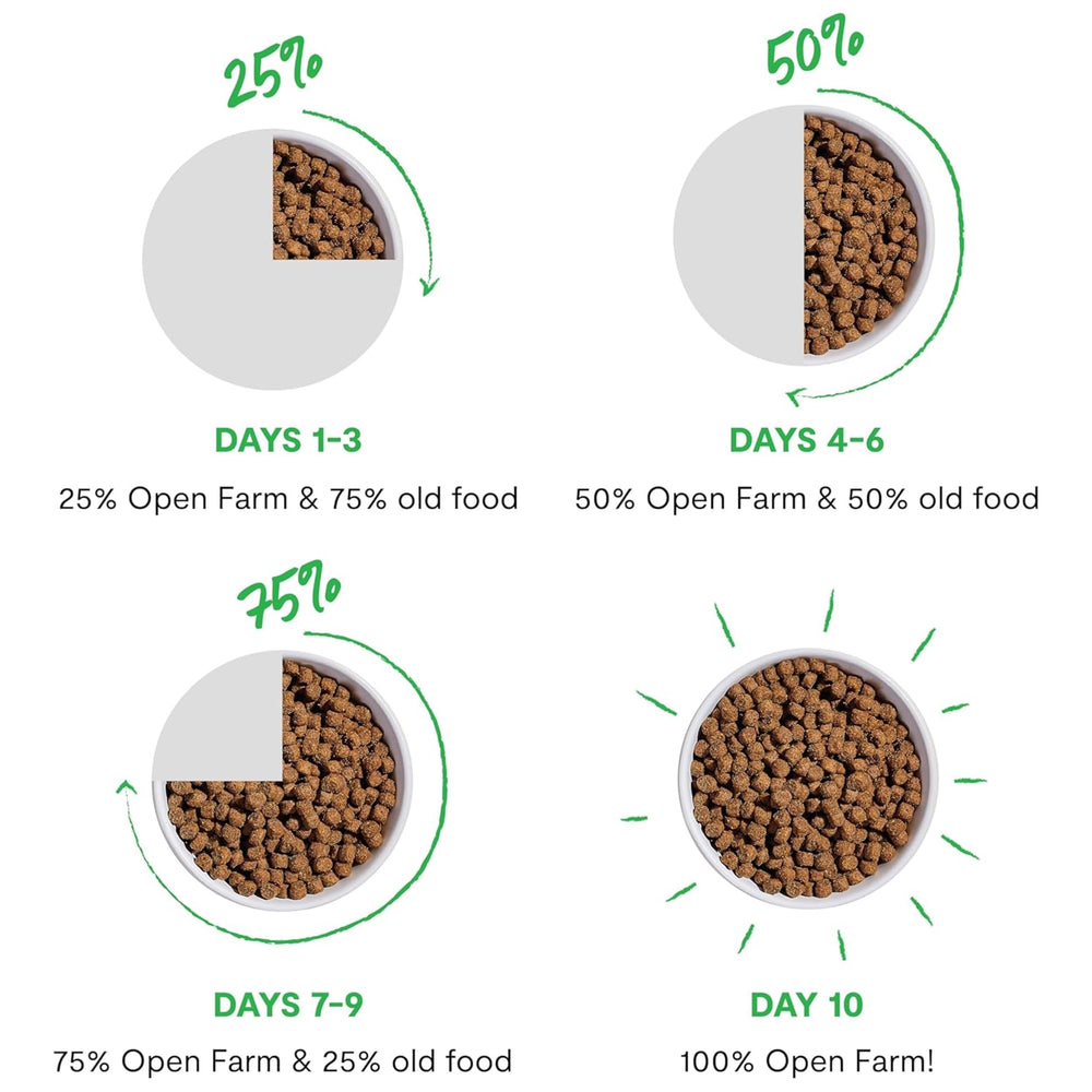 Open Prairie recipe served as a protein-rich bowl for dogs.
