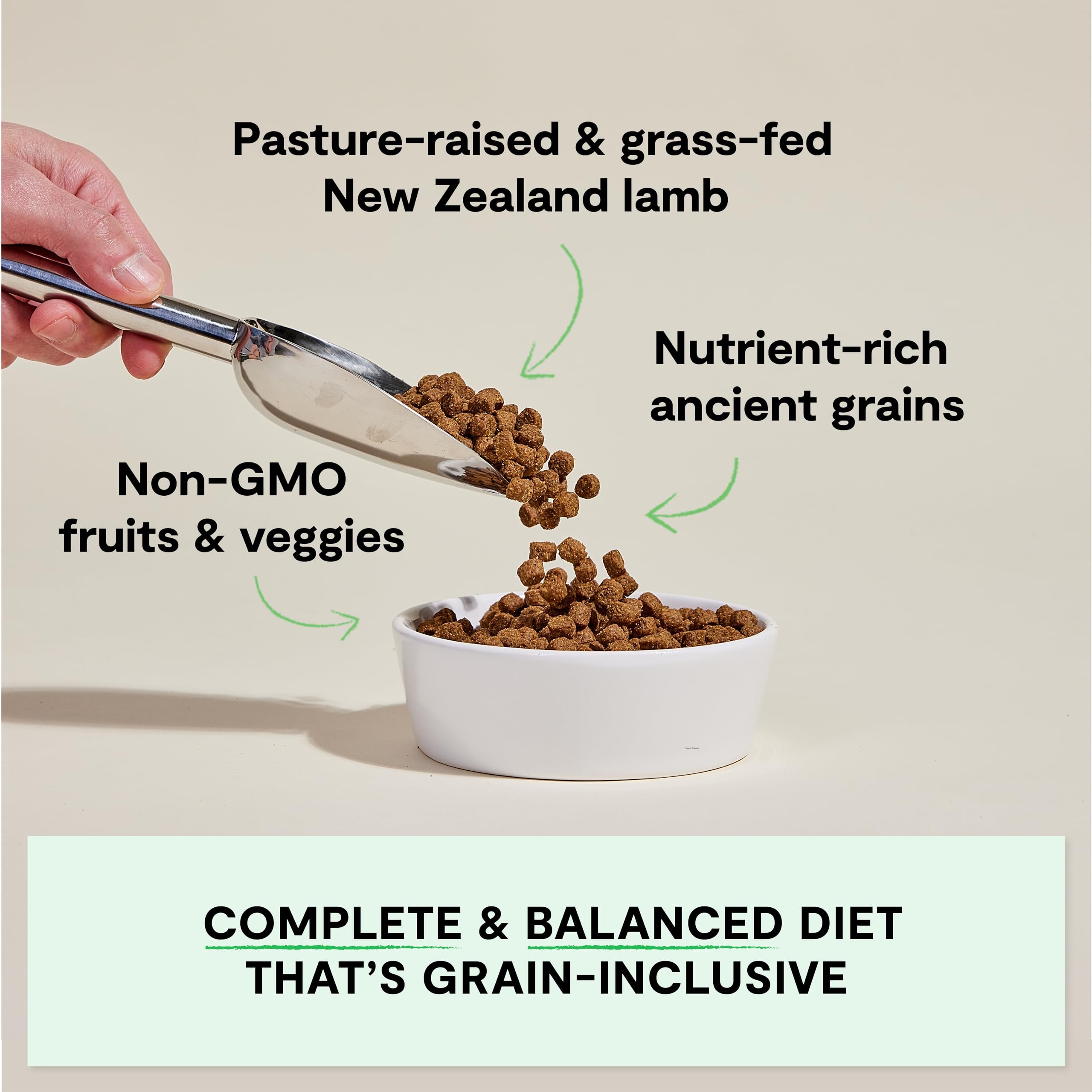 Open Farm pasture-raised lamb chunks in bowl, real meat flavor for dogs.