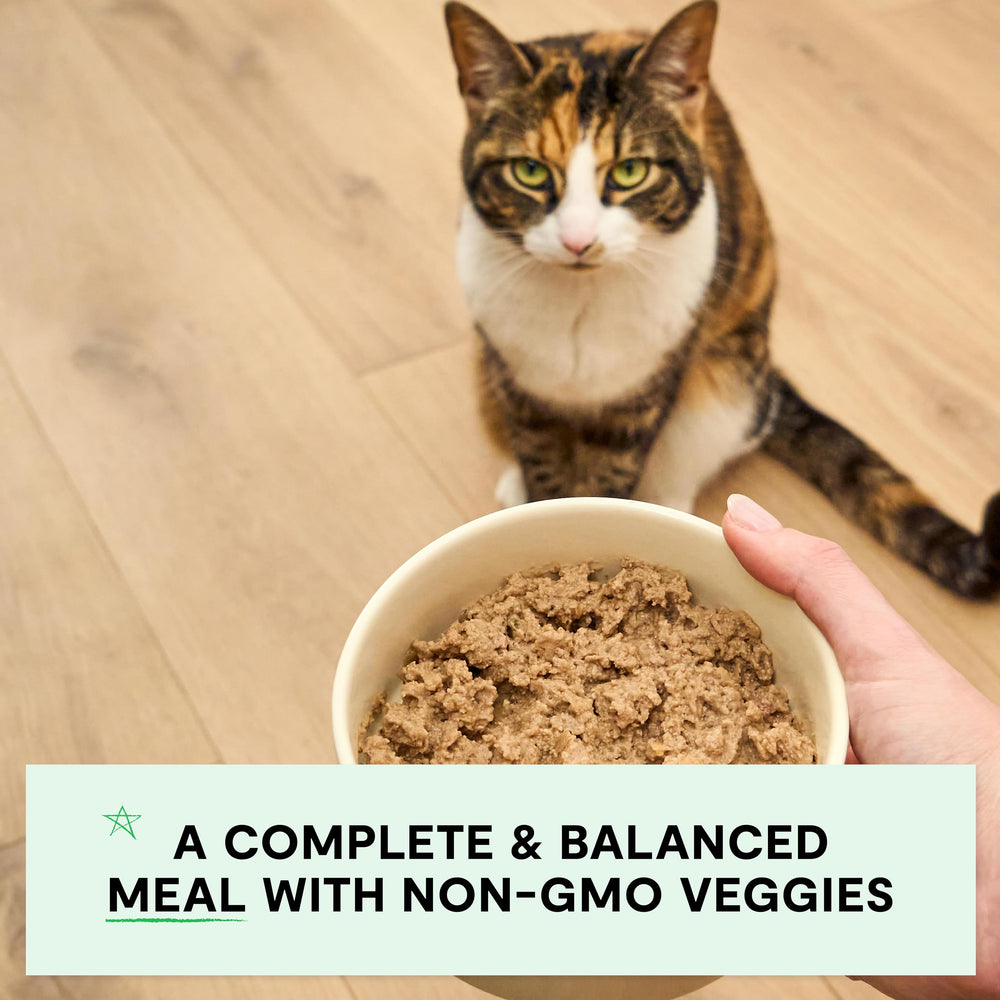 Pate served as a meal or topper over kibble for versatility.