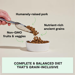 Open Farm pork recipe kibble close-up in a bowl highlighting crunchy texture