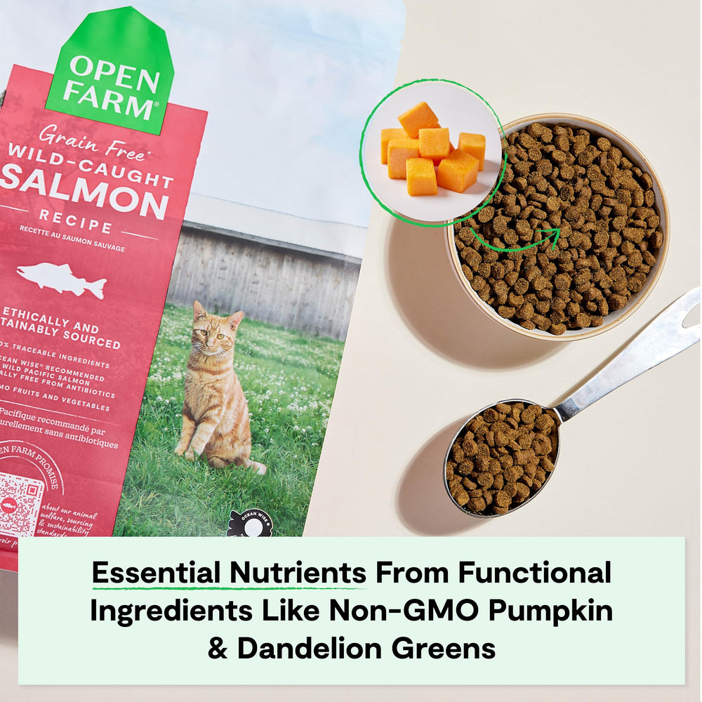 Open Farm prebiotic fibers in kibble support digestion for cats