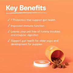 Open Farm Probiotic Chews ingredients traceable and vet-approved label.
