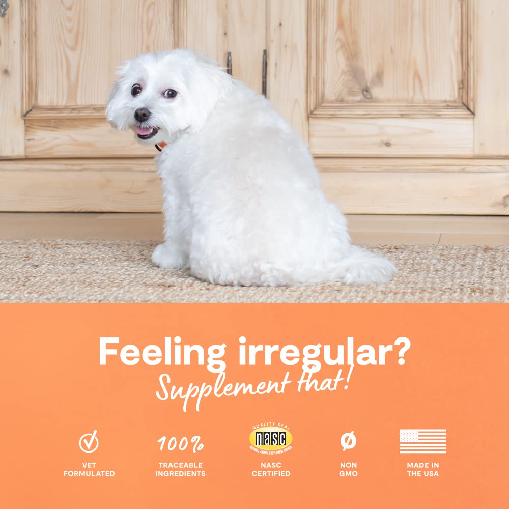 Open Farm Probiotic Chews recyclable jar packaging for sustainable pet care.