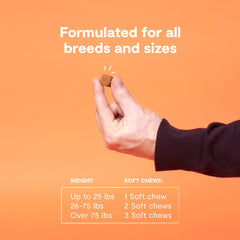 Open Farm Probiotic Chews on spoon highlighting texture for gut flora support.