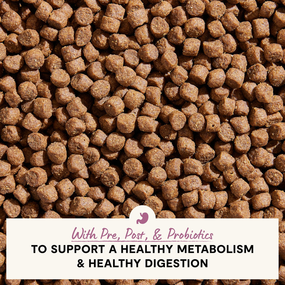 Open Farm probiotics-prebiotics-postbiotics graphic highlights gut-supporting blend