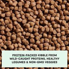Open Farm protein slice closeup emphasizes real whitefish as a protein source