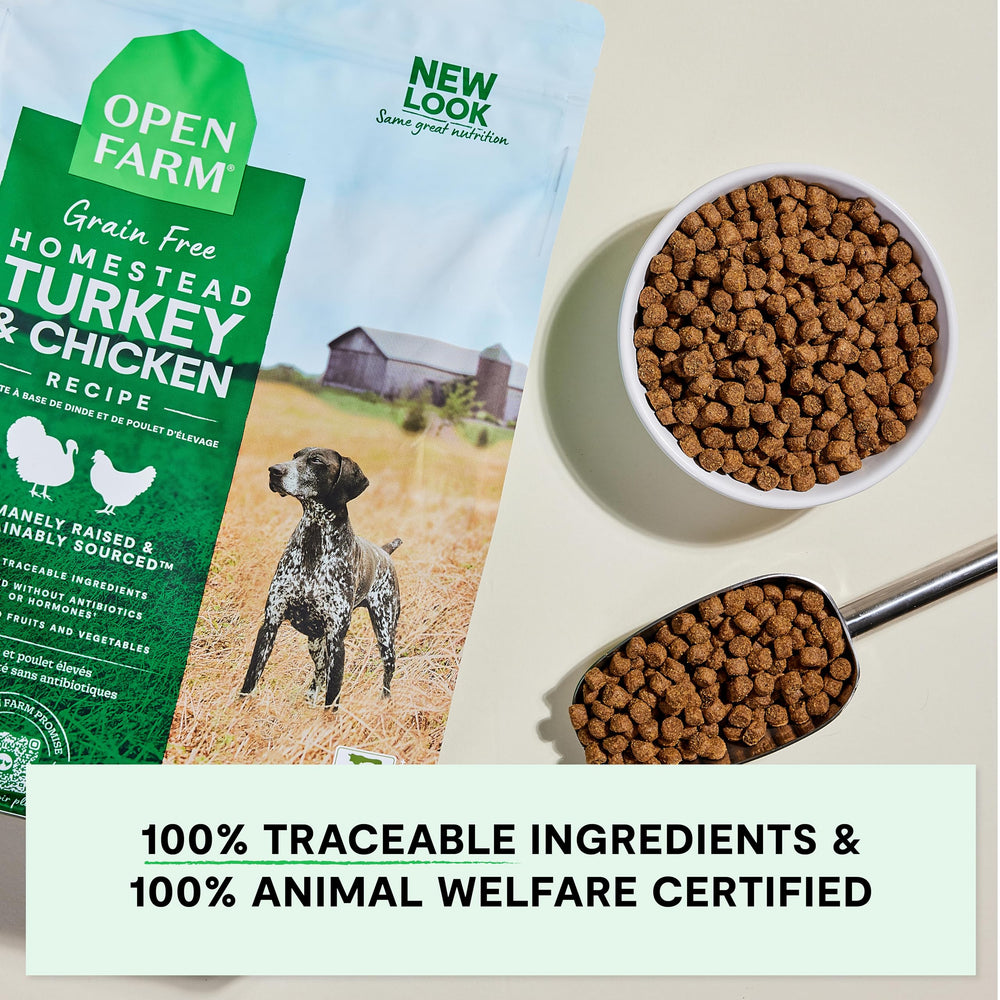 Open Farm pumpkin and coconut oil kibble close-up, supporting vitality and coat health
