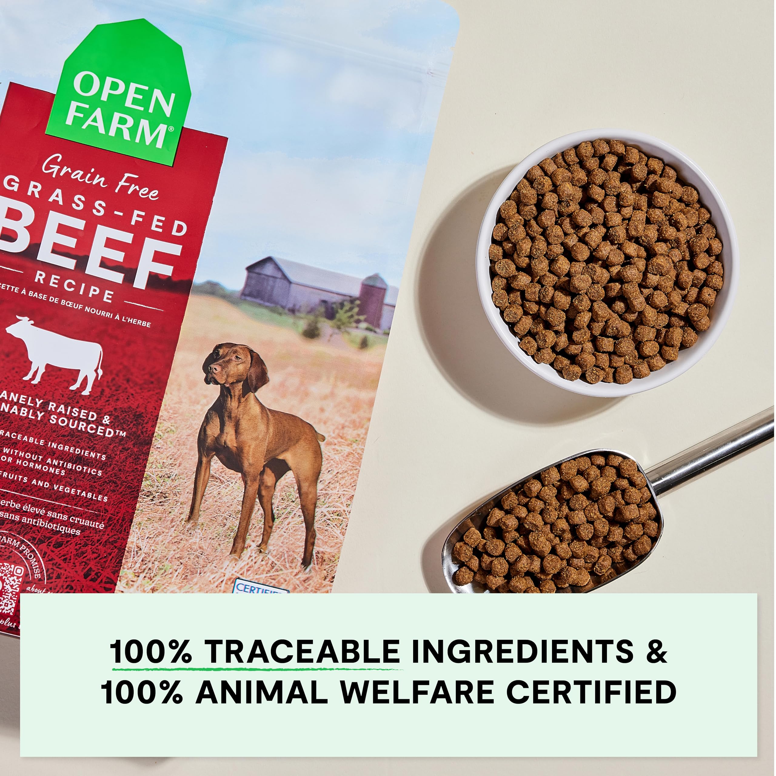 Open Farm pumpkin and coconut oil superfoods shown for gut and coat support.
