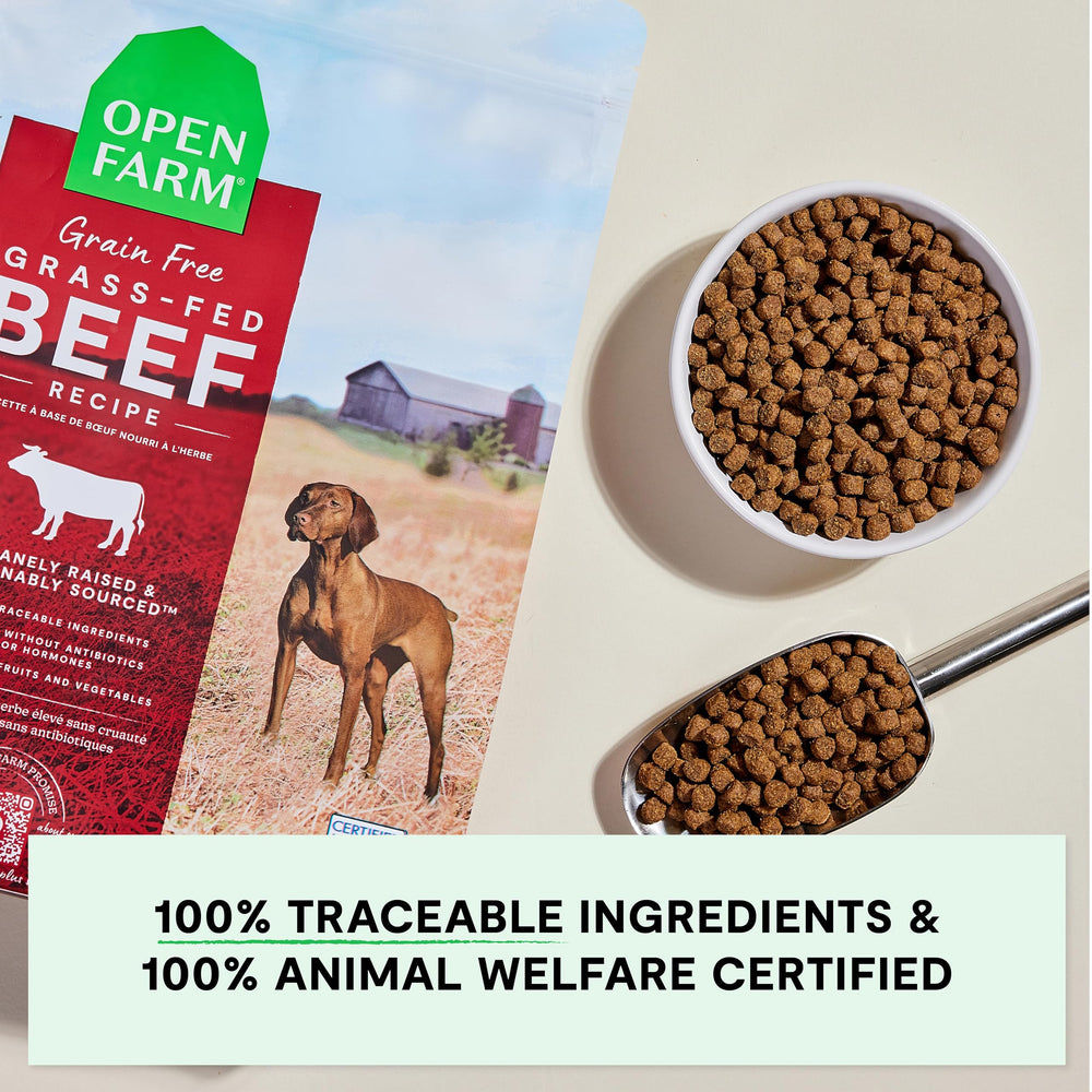 Open Farm pumpkin and coconut oil superfoods in kibble
