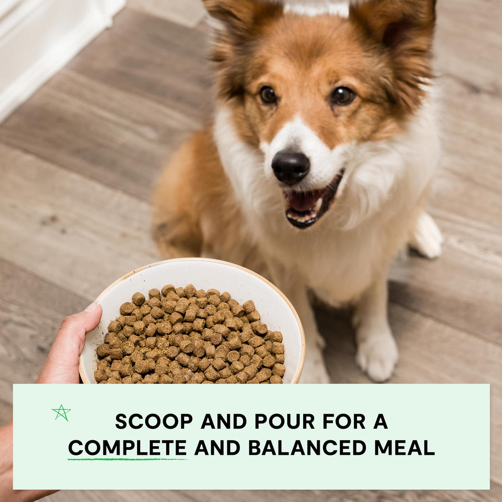 Open Farm pumpkin and coconut oil superfoods for digestive support