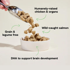 Open Farm organs and bone mix: nutrient-dense boost for healthy development.