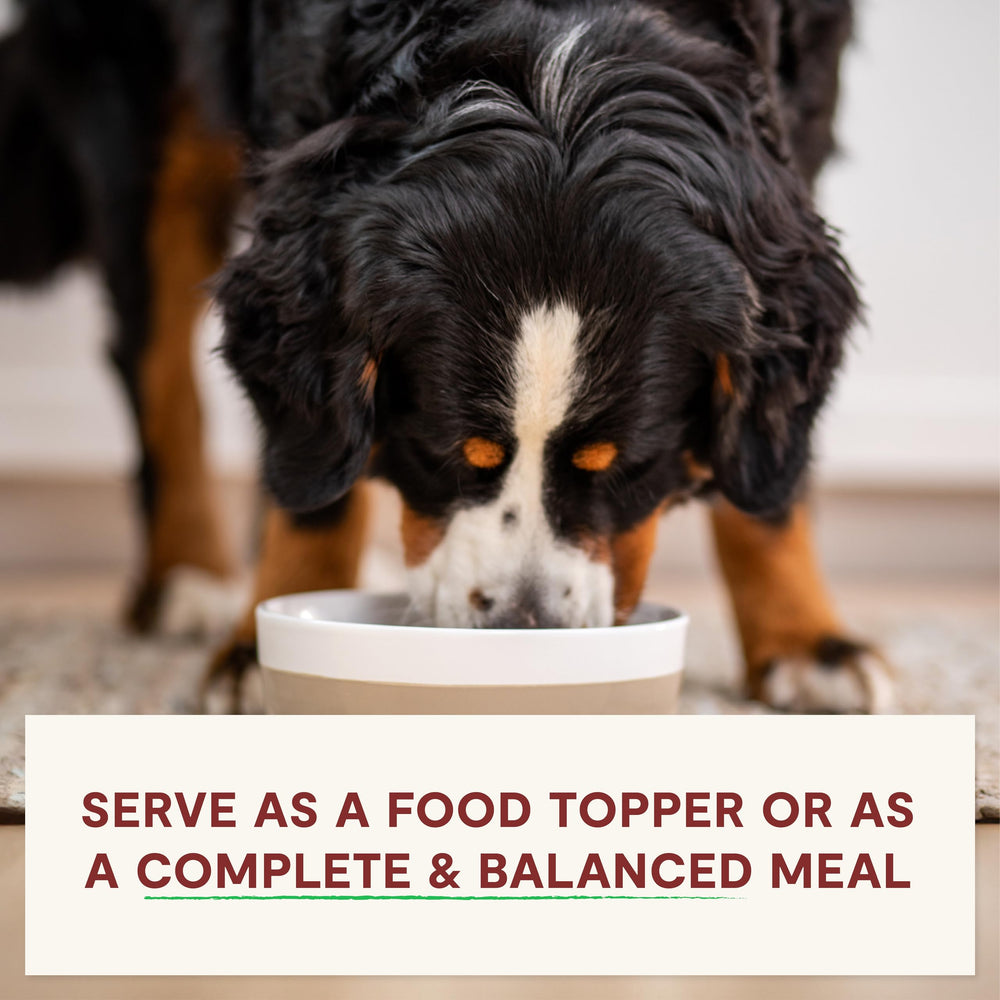Open Farm RawMix bone-broth-coated bites illustrate flavorful coating ideal for mealtime motivation
