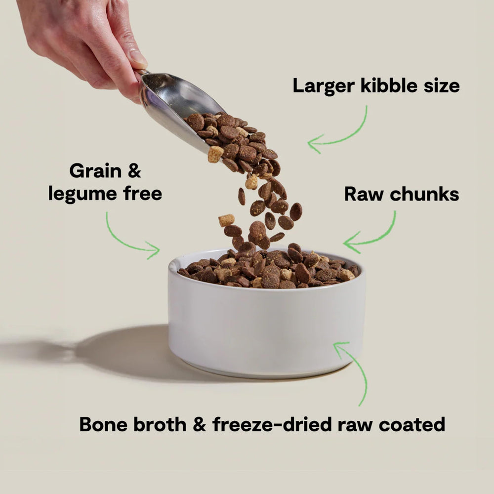 Open Farm RawMix bone broth-coated kibble close-up for enhanced palatability.