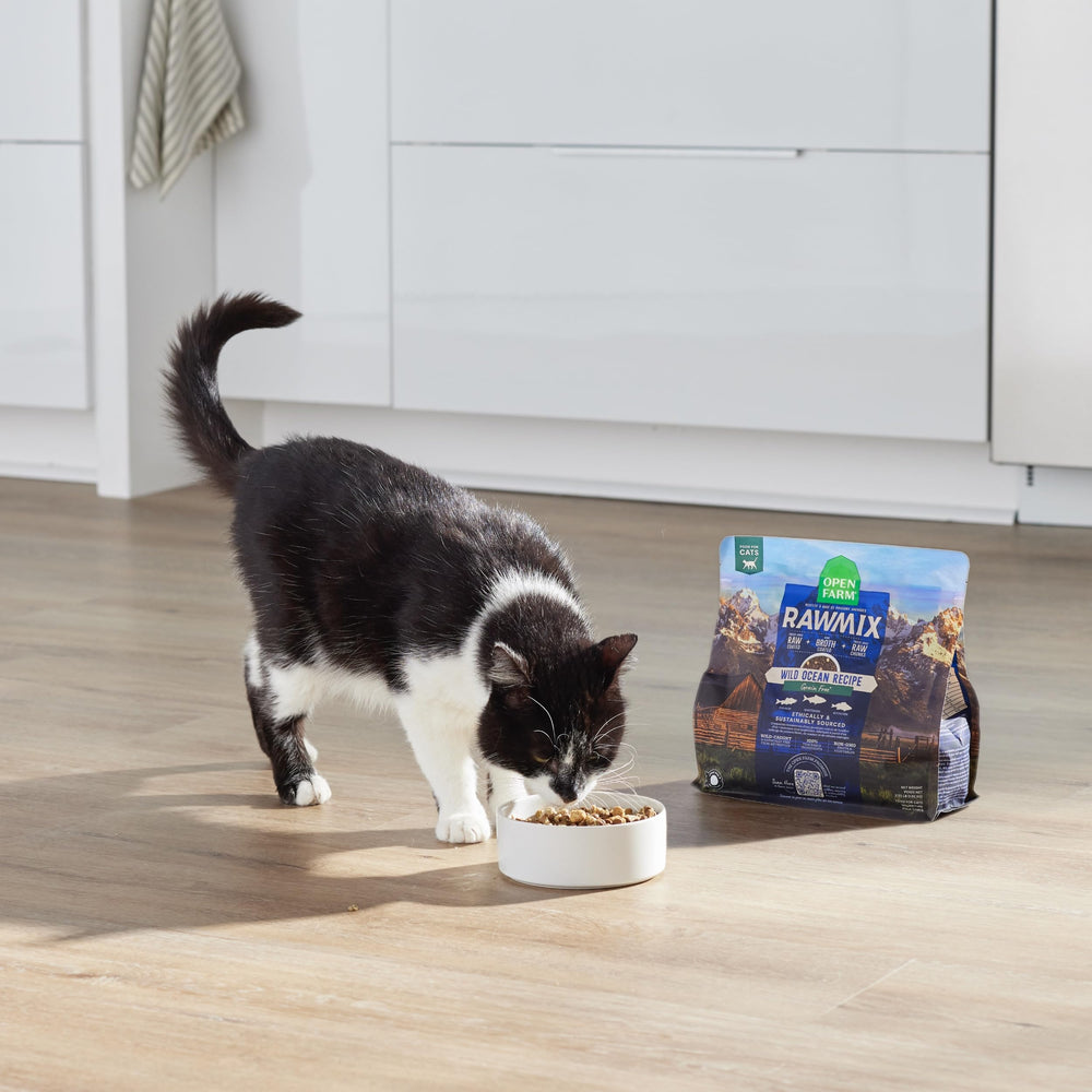 Open Farm RawMix complete kitten nutrition designed for growth and everyday meals