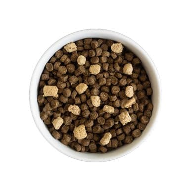 Open Farm RawMix ancient grains kibble supports balanced, nutritious meals.