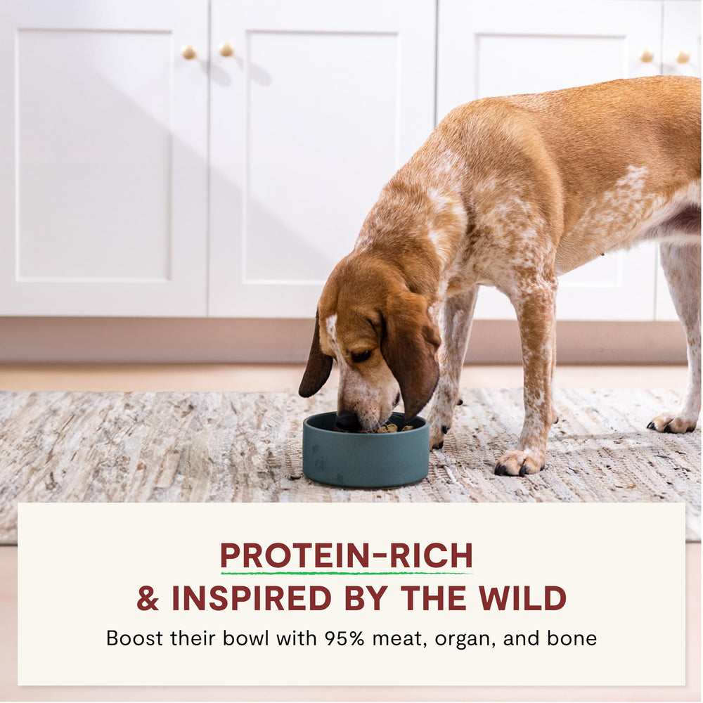 Open Farm RawMix freeze-dried morsels closeup meat and bone emphasizes high-protein nutrition