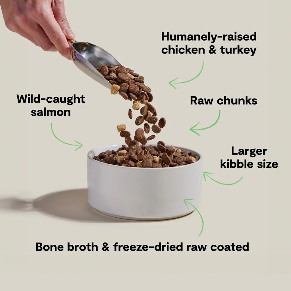 Open Farm RawMix freeze-dried raw chunks add protein and texture.
