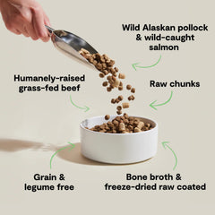 Open Farm RawMix kibble close-up highlighting protein-rich bites with freeze-dried chunks.