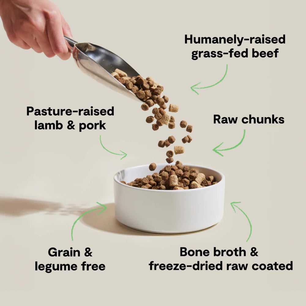 Open Farm RawMix kibble in a bowl highlighting a protein-rich daily meal.