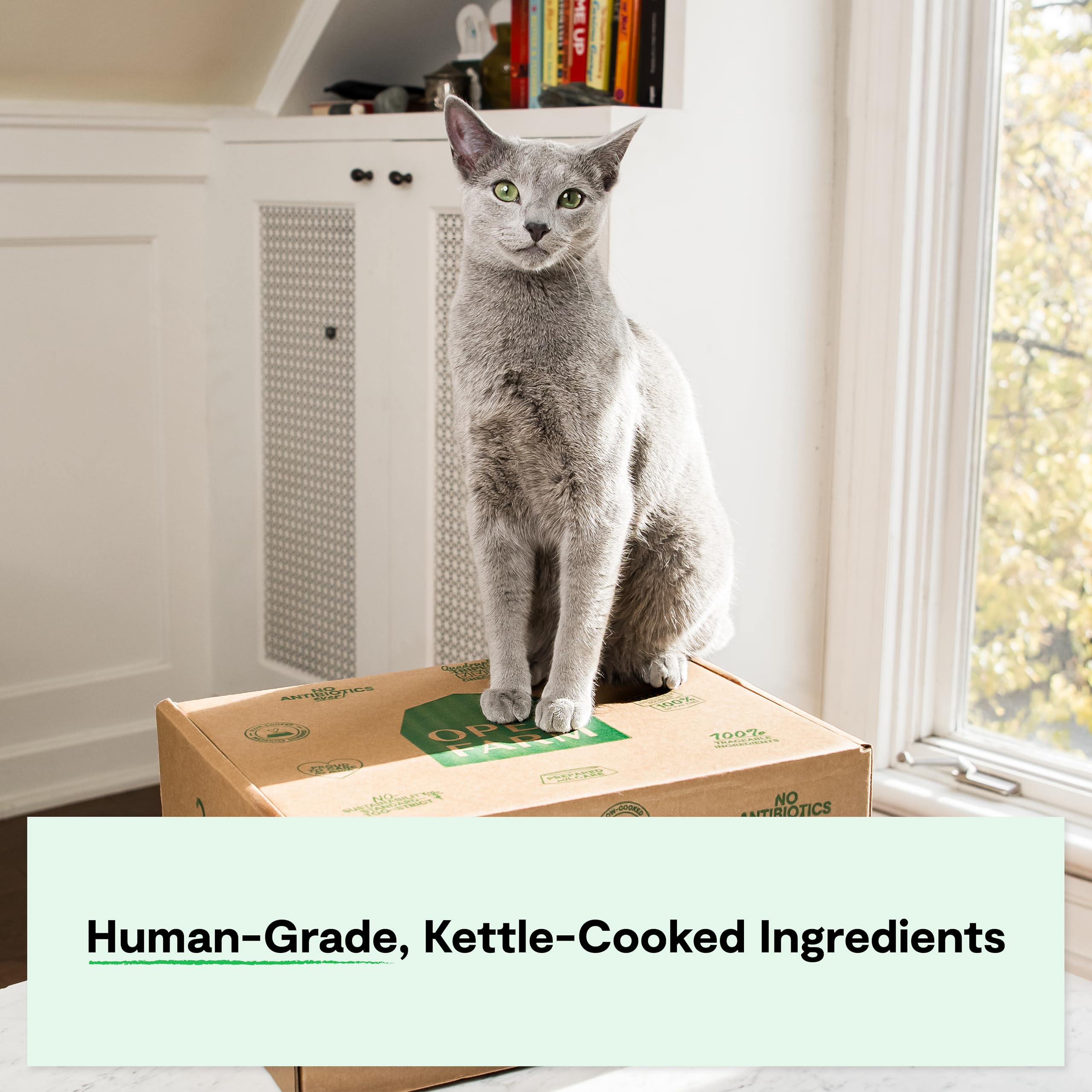 Open Farm Rustic Blend uses non-GMO vegetables for natural color and texture.