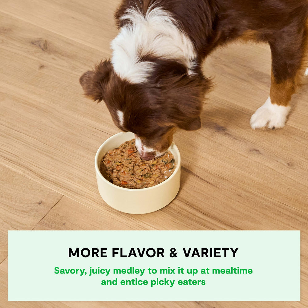Open Farm Rustic Stews chunky meat pieces provide satisfying texture at mealtimes.