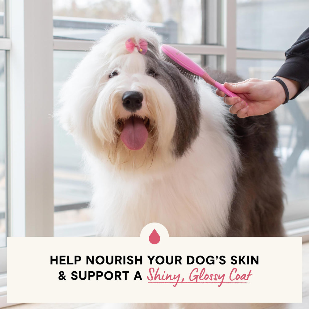 Open Farm salmon oil with kibble supports healthy skin and coat.