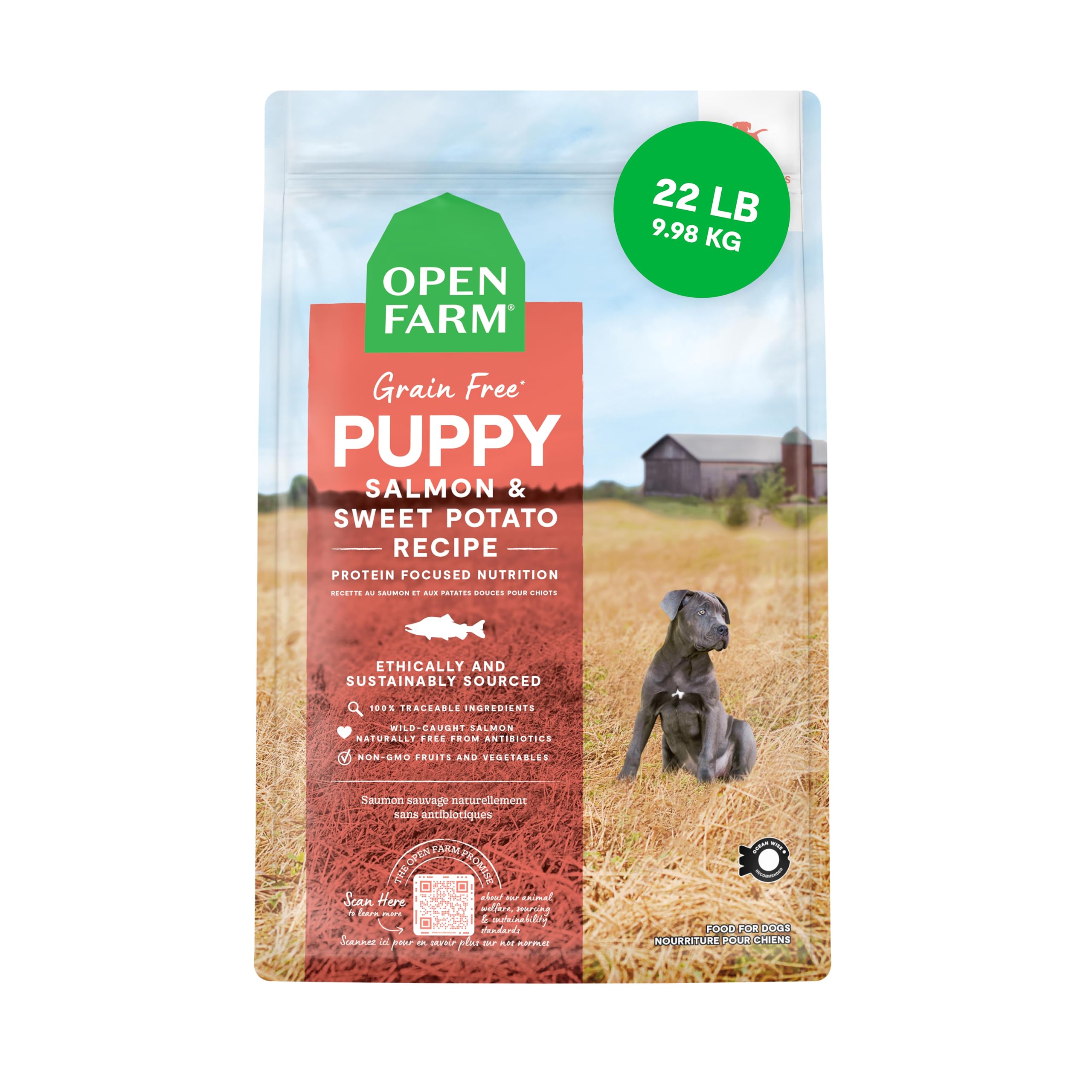Open Farm salmon puppy kibble bowl—protein-packed for growing puppies.