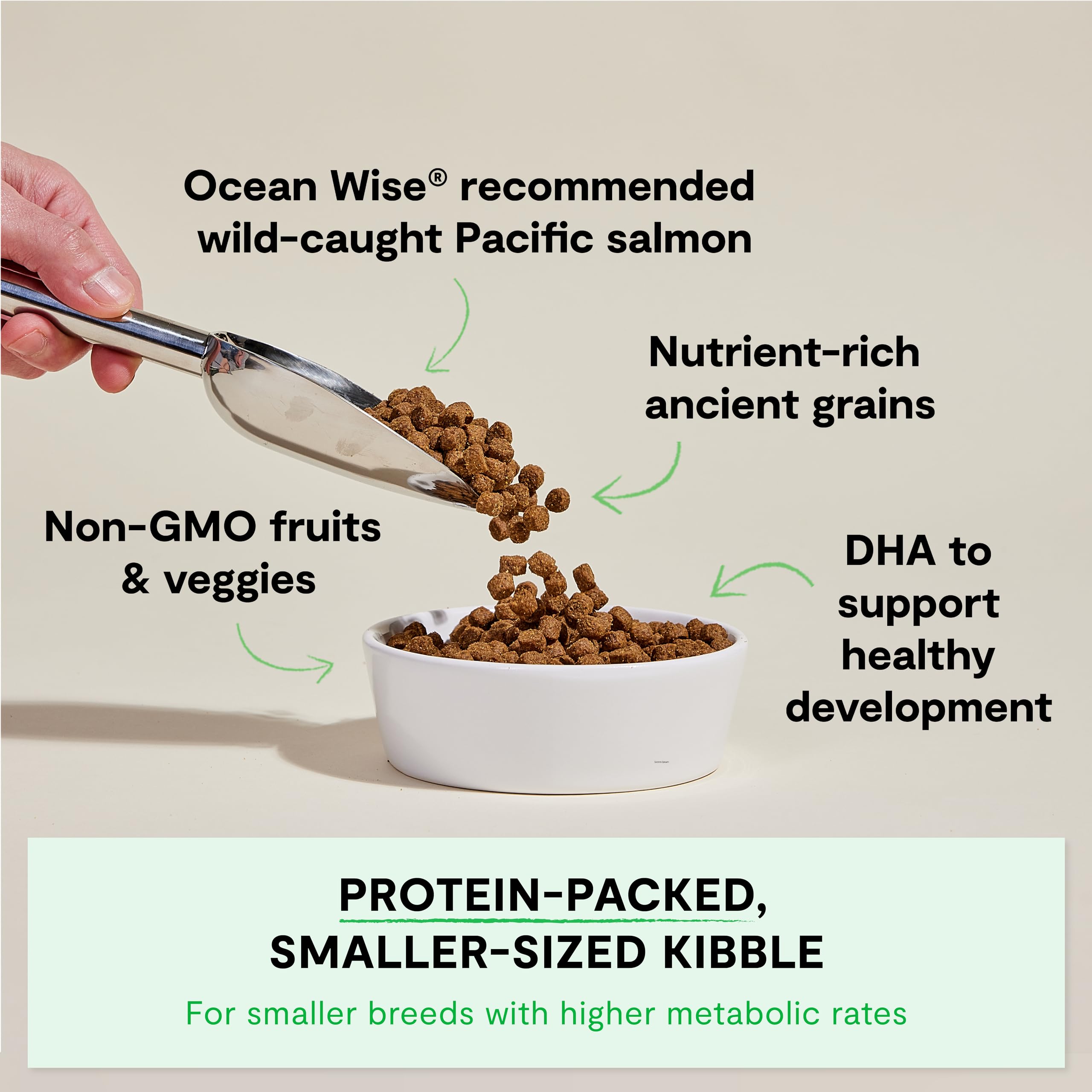 Open Farm Salmon Puppy Kibble close-up showing texture and high protein.