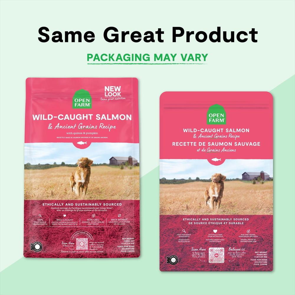 Open Farm senior-friendly dog food scene suggesting gentle digestion.