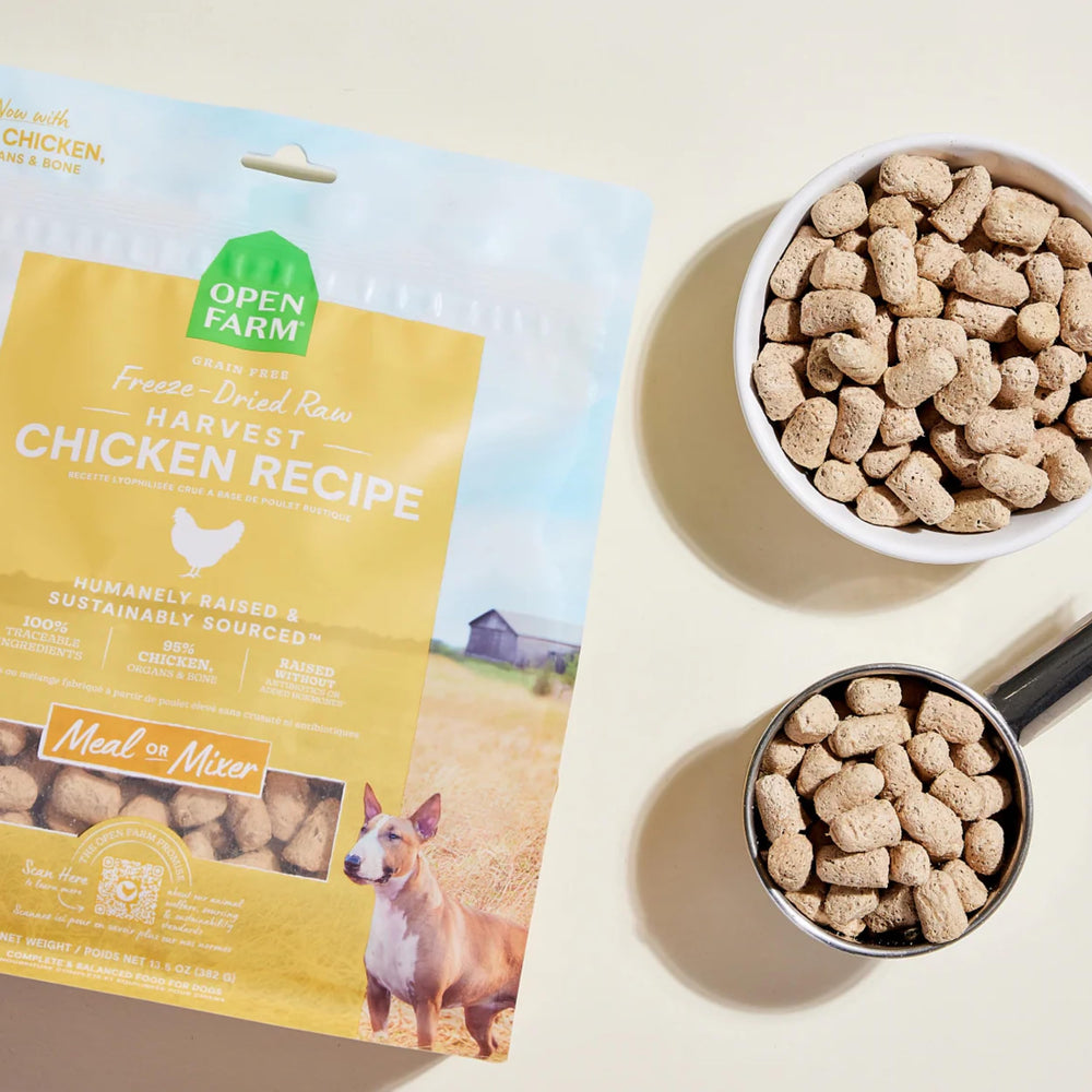 Open Farm serving bowl with morsels demonstrates easy feeding and portion control.