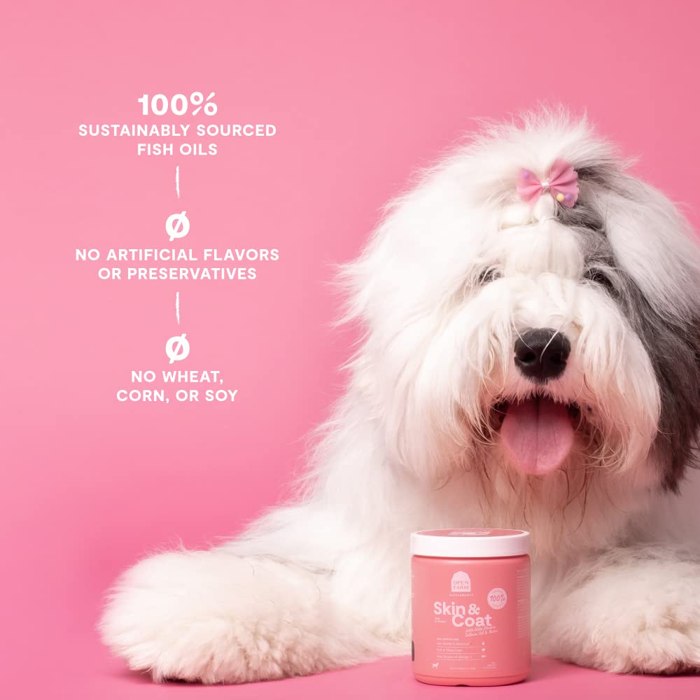 Dog enjoys Open Farm Skin & Coat Chews during a walk promoting a glossy coat.