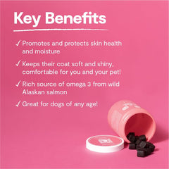 Open Farm Skin & Coat Chews packaging on shelf emphasizing recyclable jar.