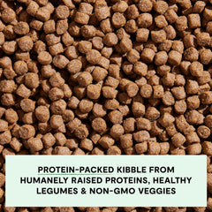 Open Farm traceable ingredients label emphasizes ethical sourcing and quality.