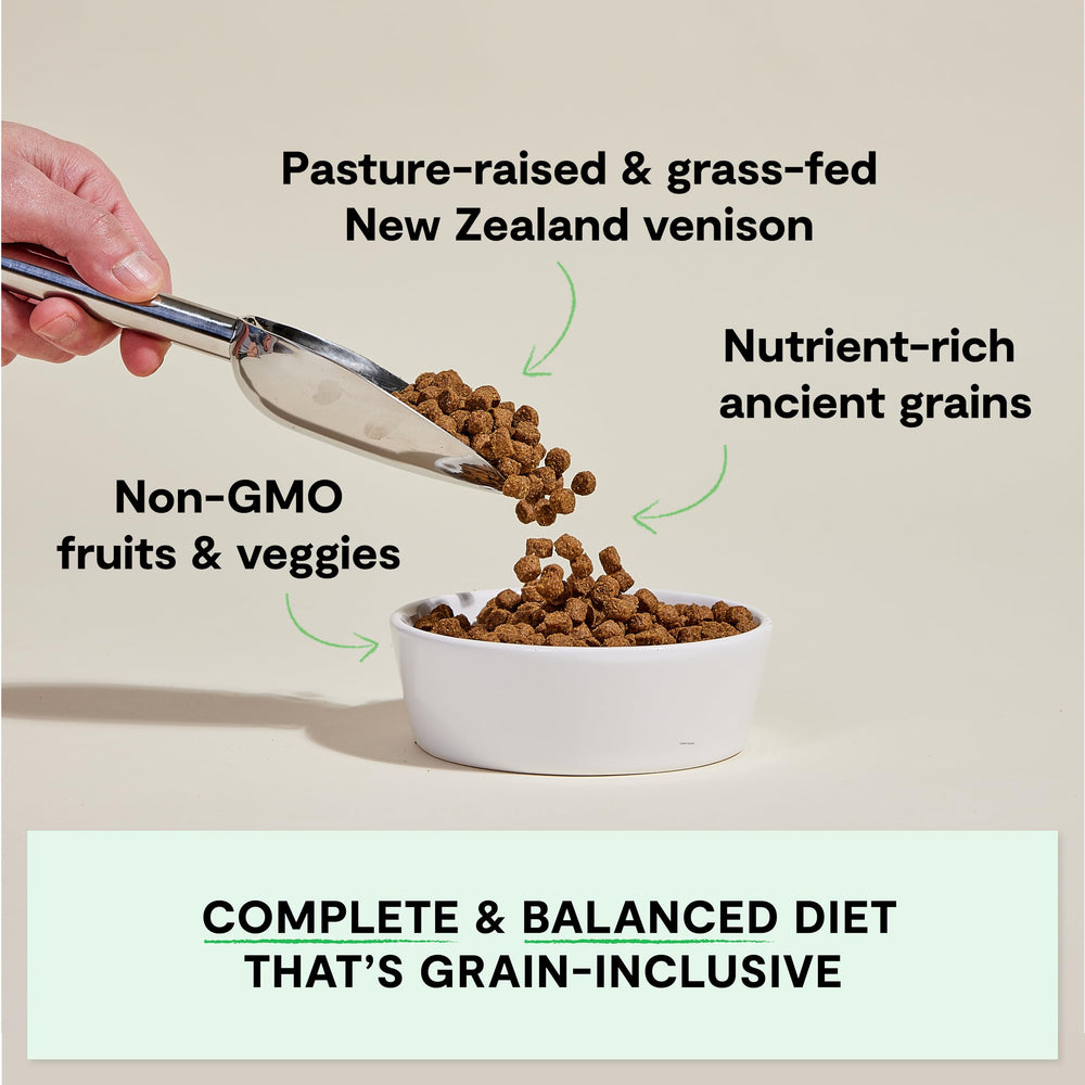 Open Farm venison recipe in a bowl, emphasizing high-quality protein for active dogs.