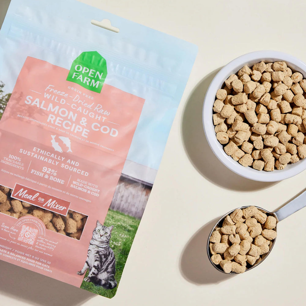 Open Farm wild-caught salmon and cod ingredients close-up show quality protein.