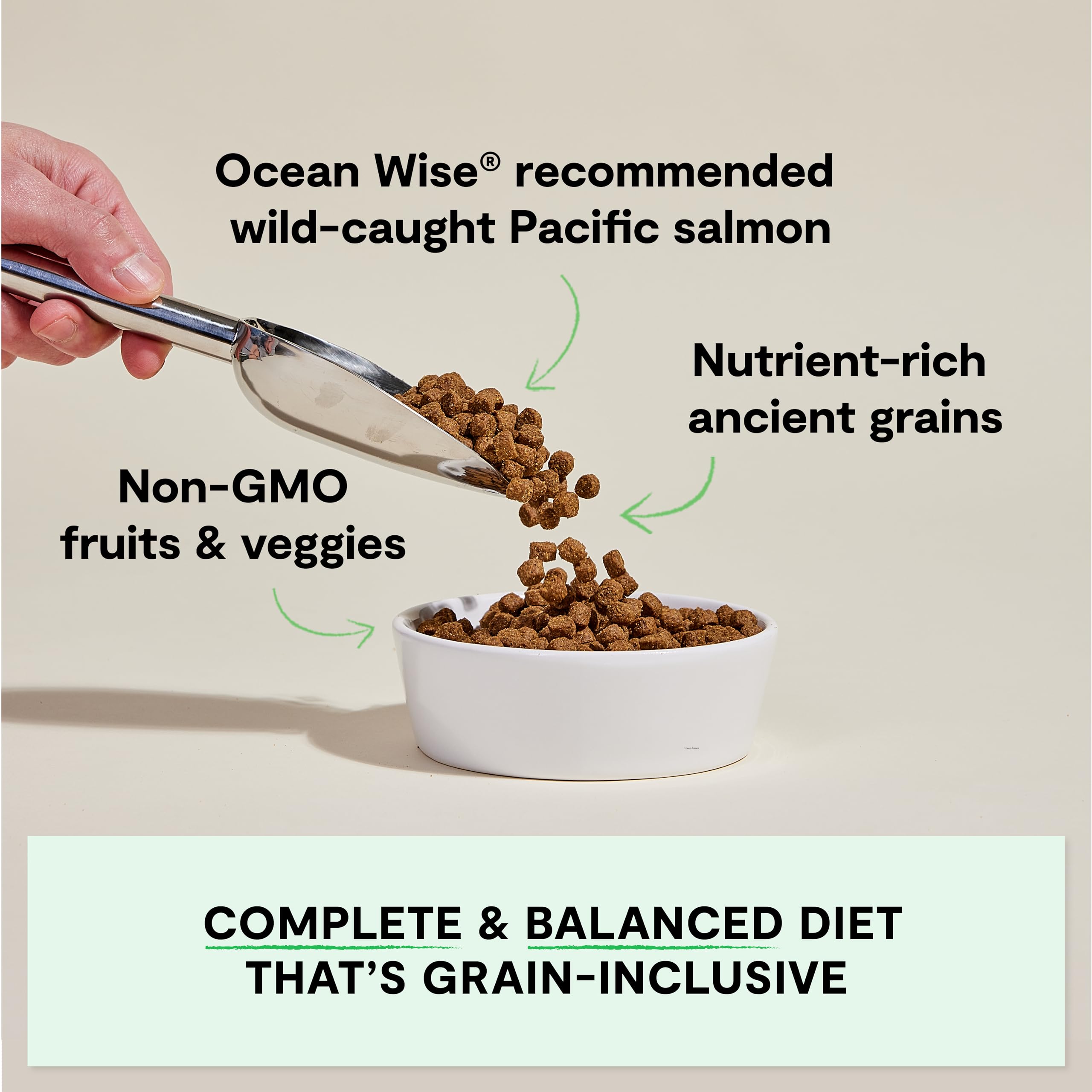 Open Farm wild-caught salmon recipe bag emphasizing high-protein, omega-rich nutrition