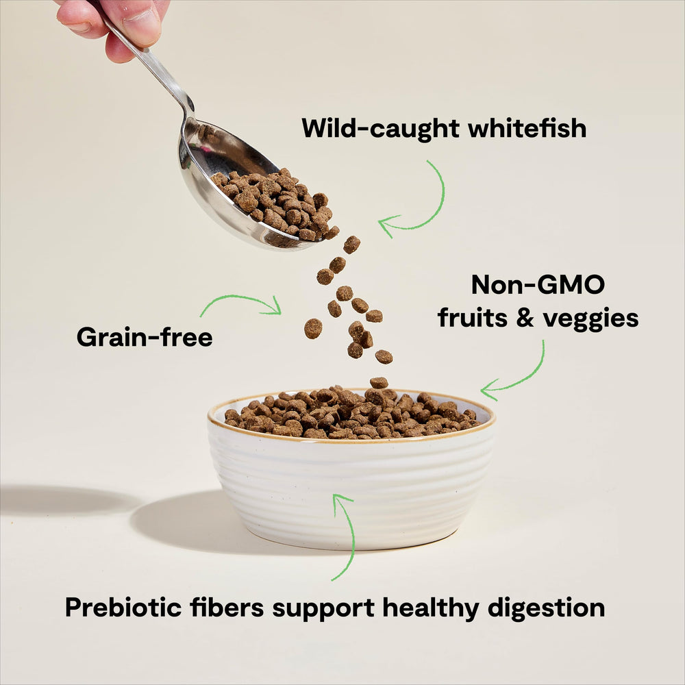 Open Farm wild-caught whitefish protein source signals sustainable seafood.