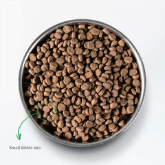 Open Farm Wild-Caught Salmon dry cat-food cat enjoying meal at bowl