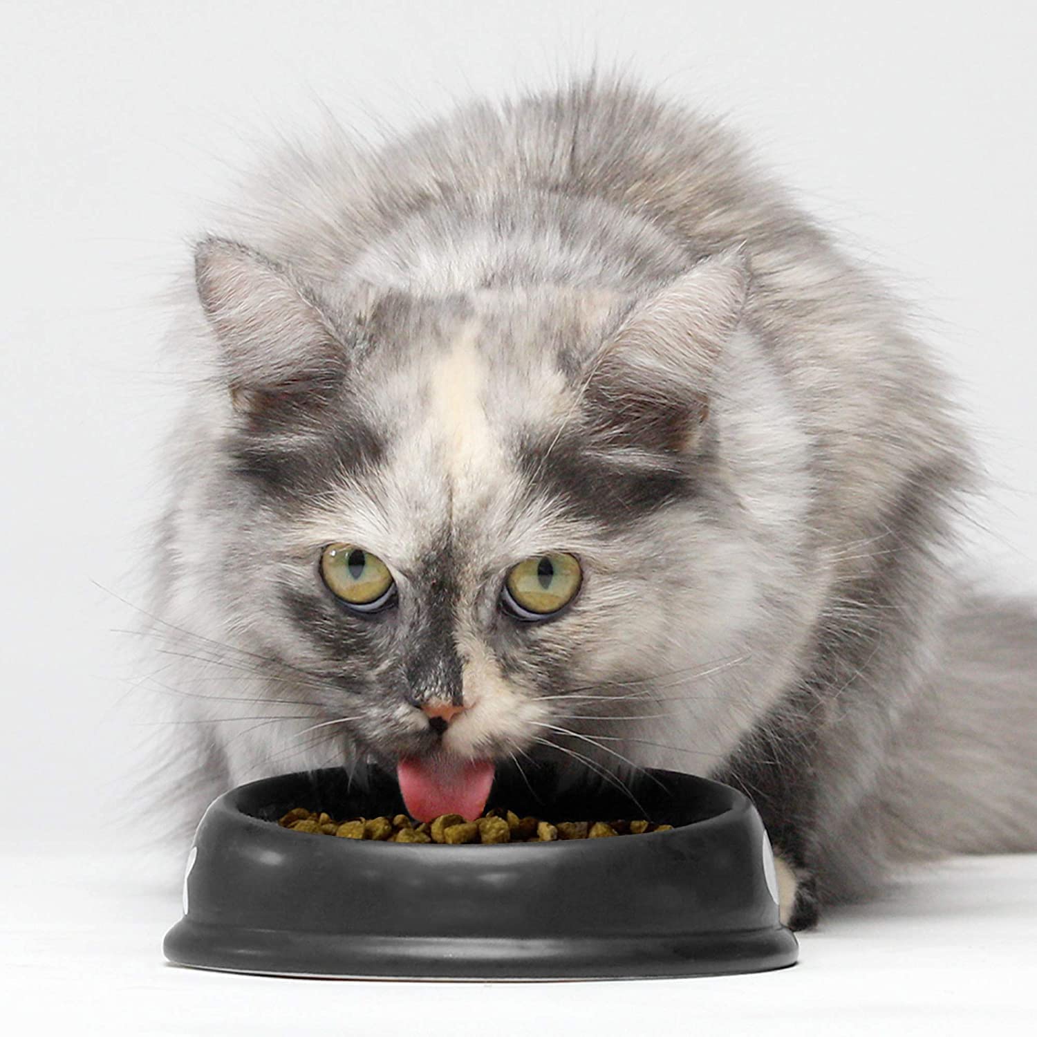 Open Farm Wild-Caught Salmon dry cat food packaging side, 2 lb pack and recyclable materials