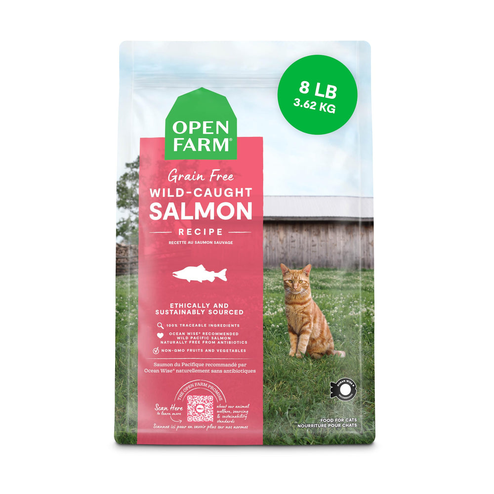 Open Farm wild salmon recipe bowl shows high-protein grain-free cat nutrition
