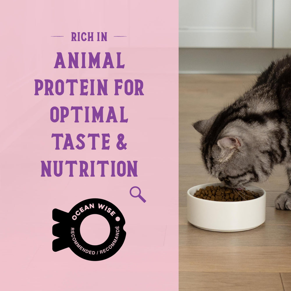 Open Farm Goodbowl protein-rich kibble for indoor and outdoor cats.