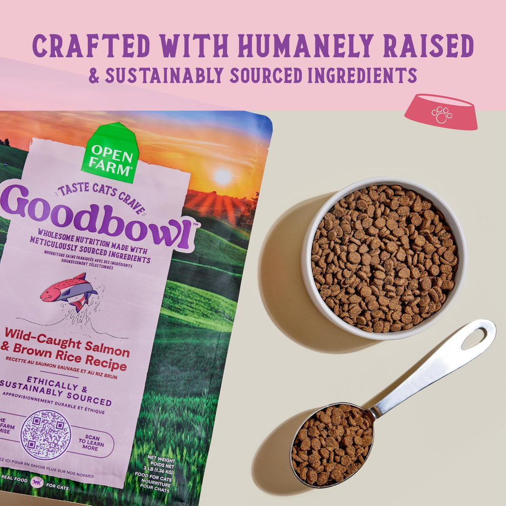 Open Farm Goodbowl simple-ingredients close-up highlighting non-GMO produce.