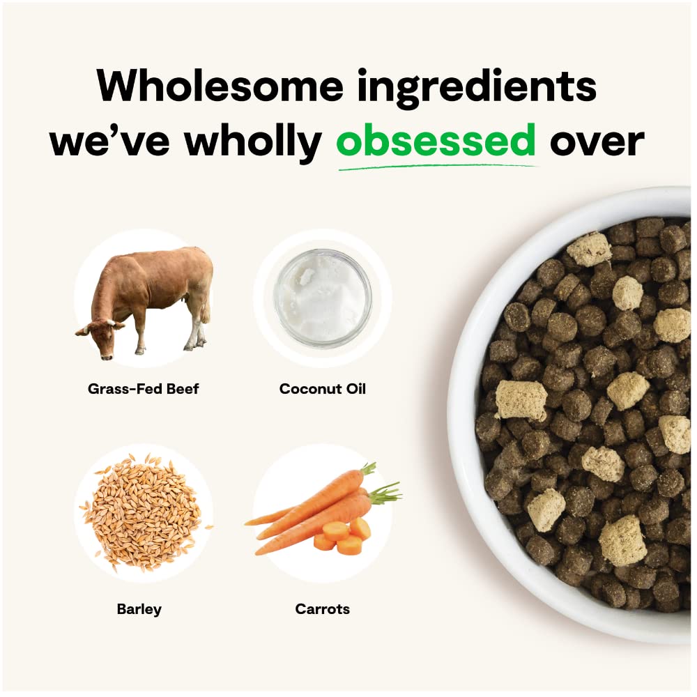 Open Farm RawMix dog food with bone broth coating to enhance flavor