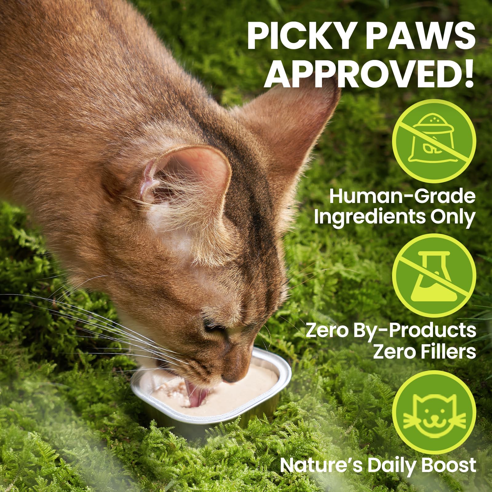 OPET Wet Cat Food Pate krill-goat-milk blend image showcasing premium ingredients for coat shine